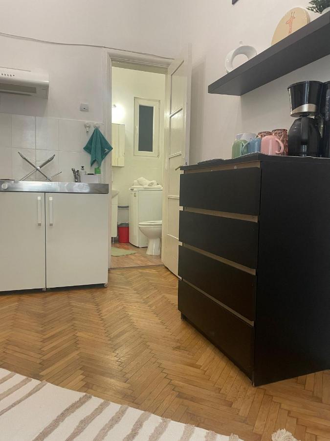 Cozy Studio Near Cismigiu Park Apartment Bucureşti Exterior foto